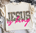 Jesus Is King